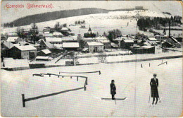 * T3 1916 Bayerisch Eisenstein, Zelezná Ruda, Bavorská Zelezná Ruda; Böhmerwald / Skiers, Winter Sport (Rb) - Ohne Zuordnung