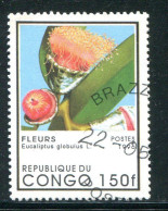 CONGO- Y&T N°1026H- Oblitéré - Used