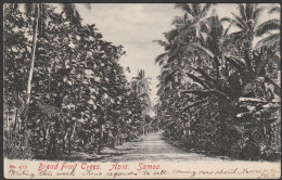 NZ - TASMANIA 1906 BREAD FRUIT TREES SAMOA POSTCARD WESTPORT SQUARED CIRCLE - Samoa