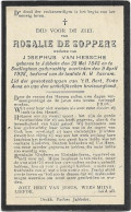 Doodsprentje  *  De Soppere Rosalie  (° Jabbeke 1843 / + Snellegem 1928) X Van Hessche Josephus - Religion & Esotérisme