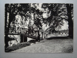 Florennes " Parc Des Ducs ", L'étang Et Sous Bois - Florennes