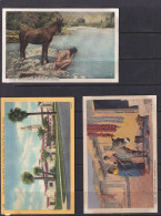 USA 5 Postal Cards Arizona H2073/H2075/H2069/H2014/P82 Mint 15924 - Other & Unclassified