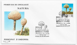 3845 FDC Andorra La Vella 1991, Natura, Hongos, Champiñones, Setas, - Cartas & Documentos