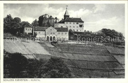 41766256 Schloss Eberstein  Gernsbach - Gernsbach