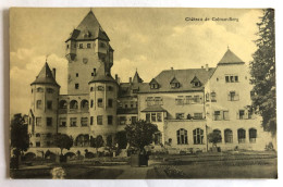 CPA LUXEMBOURG - Château De Colmar-Berg - Colmar – Berg