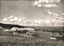 41213759 Kirchzarten Schauinsland
Hotel Haldenhof Kirchzarten - Kirchzarten