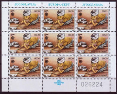 CEPT1222-  JUGOSLÁVIA 1989 - MNH (EUROPA CEPT - FM) - 1989