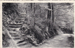 Linkebeek, Escalier Rustique (pk87199) - Linkebeek