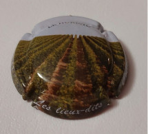 CAPSULE CHAMPAGNE LES LIEUX DITS - LE HUREAU - Collezioni