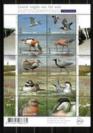 Nederland NVPH 3401-10 V3401-10 Vel Griend Vogels Van Het Wad 2016 Postfris MNH Netherlands Birds Fauna - Ongebruikt