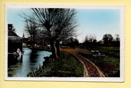 Haute-Normandie : Près De La Rivière / Normandie Pittoresque / CPSM (voir Scan Recto/verso) - Haute-Normandie