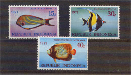 INDONESIEN 1971, Mi. 698-700 Postfrisch, FISCHE KW 36,-- EUR - Indonésie