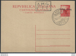 1948 Trieste A Cartolina Postale Lire 20 Filagrano N. C5A - Postwaardestukken