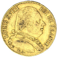 Louis XVIII-20 Francs 1814 Perpignan - 20 Francs (or)