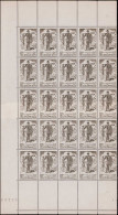 ** OCEANIE - Poste - 185, Panneau De 25, Impression Sur Raccord Sur 5 Timbres (bande Horizontale): 50c. Pêcheur - Other & Unclassified