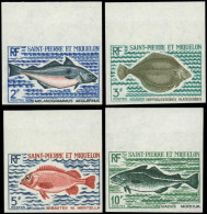 ** SAINT PIERRE & MIQUELON - Poste - 421/24, Série Complète Non Dentelée, Bdf: Poissons (Maury) - Unused Stamps