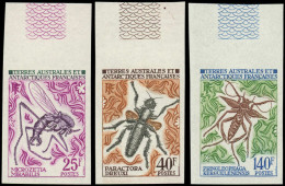 ** TERRES AUSTRALES - Poste - 40/42, Non Dentelés, Bdf: Insectes - Unused Stamps