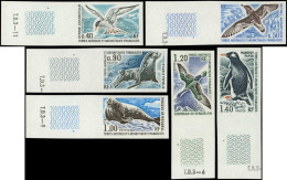 ** TERRES AUSTRALES - Poste - 55/60, Série Complète Non Dentelée, Bdf: Faune - Unused Stamps