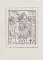 MAQ TUNISIE - Poste - 373, Type Non Adopté "12f. Palmiers - Biskra Ras El Guhria", Maquette Au Crayon (120 X 150), Signé - Autres & Non Classés