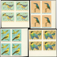 ** VIETNAM DU NORD - Poste - 514/19, 6 Blocs De 4, Non Dentelés, Bdf: Oiseaux Divers - Vietnam