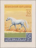 MAQ LIBYE - Poste - (1965/73?), Type Non émis (50m. Cheval), Maquette Originale à La Gouache (160x210) - Unique - - Libya