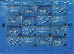 ** MONTSERRAT - Poste - 1016/19, Feuille Complète De 4 Séries Perforées "ANNULE": WWF, Requin Marteau - Montserrat