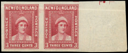 ** TERRE NEUVE - Poste - 220, Paire Non Dentelée, Bdf (pli Horizontal) - 1908-1947