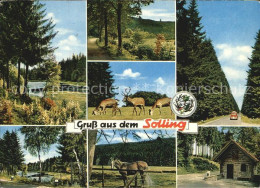 72603782 Schoenhagen Solling Landschaftsbilder Wild Pferd Wald Huette Schoenhage - Uslar