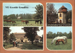 72585639 Graditz VE Gestuet Pferde Graditz - Torgau