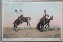 USA FAR WEST COWBOY 1907 HORSE DESERT CATTLE BRONCHO BUSTING POSTCARD CARTE POSTALE POSTKARTE CARTOLINA ANSICHTSKARTE - Long Beach