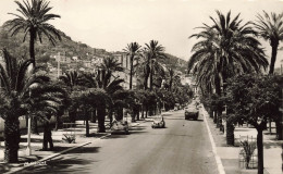 FRANCE - Hyeres Les Palmiers - Vue Sur L'avenue Gambetta - Carte Postale Ancienne - Hyeres