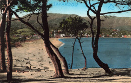 FRANCE - Côte D'Azur - Le Lavandou (Var) - Vue Générale D'un Plage - Carte Postale Ancienne - Le Lavandou