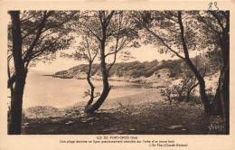 FRANCE - Ile De Port Gros(Var) - Vue Générale Du Parc De L'hostelleire Provençale - Carte Postale Ancienne - Toulon