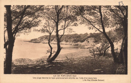 FRANCE - Ile De Port Gros(Var) - Vue Générale Du Parc De L'hostelleire Provençale  - Carte Postale Ancienne - Toulon