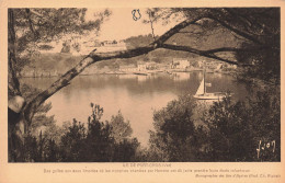 FRANCE - Ile De Port Gros(Var) - Bâteaux Quotidiens Par Les Salins D'Hyères - Carte Postale Ancienne - Toulon