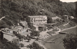 FRANCE - Ile De Port Gros(Var) - Vue Généralede Du Port - Animé - Carte Postale Ancienne - Toulon