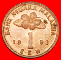 * DRUM (1989-2008): MALAYSIA  1 SEN 1993 UNC MINT LUSTRE! · LOW START ·  NO RESERVE! - Malasia