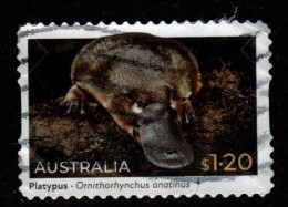 Australia Cat 4157 2022 Fauna $ 1.20 Platypust,used - Used Stamps