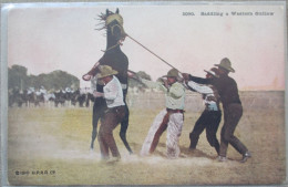 USA FAR WEST SADDLING HORSE COWBOY RANCH CATTLE KARTE CARD POSTCARD CARTOLINA CARTE POSTALE POSTKARTE ANSICHTSKARTE - Long Beach