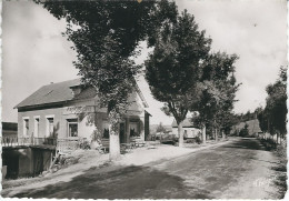 LOZERE : Aumont-Aubrac : Avenue De Marvejols, Hotel Et Villas - Aumont Aubrac