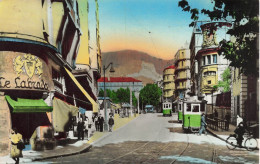 Toulon * Tramways Trampway * Rue Henri Pastoureau * Magasin Commerce " LE LABRADOR Fourrures " - Toulon