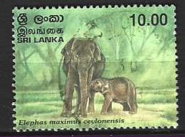 SRI LANKA. N°1148 Oblitéré De 1998. Eléphant. - Olifanten