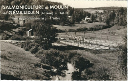 LOZERE : Aumont-Aubrac : (Environ) Salmoniculture Du Moulin Du Gévaudan, Route Entre Aumont Et Javols - Aumont Aubrac