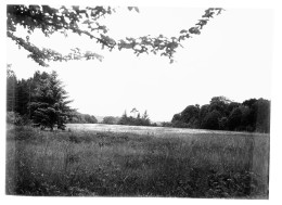 5411 - 89 - YONNE - PASSY - Le Parc Du Château - Places