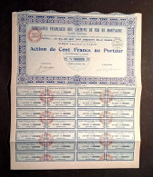 COMPAGNIE DES CHEMINS DE FER - DE MONTAGNE ( CHAMONIX Mt.BLANC )- ACTION DE 100 FR. 1921 - Ferrocarril & Tranvías