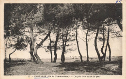 FRANCE - Barbatre - Ile De Noirmoutier - Vue Générale D'un Joli Coin Dans Les Pins - Carte Postale Ancienne - Noirmoutier