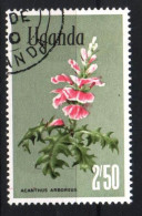 # UGANDA - 1969 - Acanthus Arboreus - Plants Flower - Piante Fiori - Used Stamp     MyRef:ES - Ouganda (1962-...)