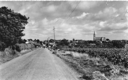 CPSM Bourgneuf En Retz-Route De Pornic,vue Générale     L2625 - Bourgneuf-en-Retz