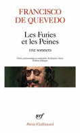 Furies Et Les Peines: Cent Deux Sonnets - Autres & Non Classés