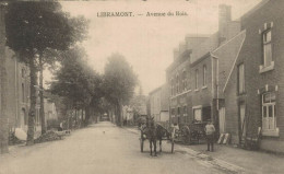 Libramont - Avenue Du Bois - Attelage - Animée - 2 Scans - Libramont-Chevigny